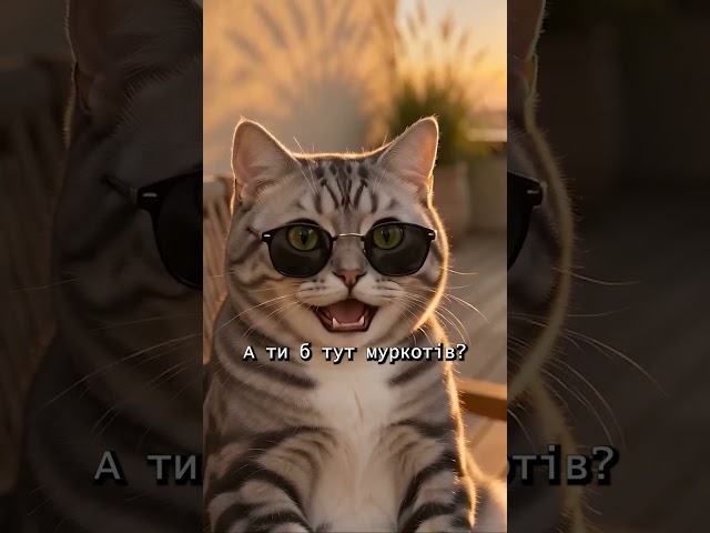 Video 1