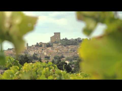 Présentation Domaine de Pignan