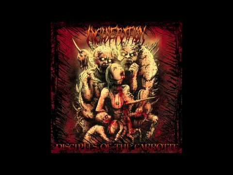 Incineration-The Spawn of Malformation