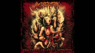 Incineration-The Spawn of Malformation