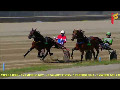 I corsa del 5 ottobre 2022 - 7 anni ed oltre - Metri 1600