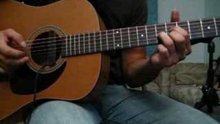 Joe Satriani - Tears in the Rain Cover(Seagull S6)
