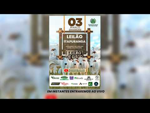 Leilão do Sindicato Rural de Itapuranga -03/03/2026 | Leilão ao Vivo - Leilão de Gado