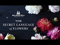 The Secret Language of Flowers