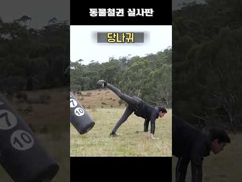 아이콘