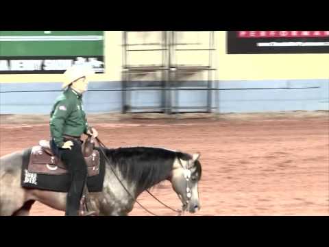 RIO (CFR Centenari Wimpy) - Franco Bertolani - 2013 NRHA OPEN DERBY CHAMPION (Lv3)