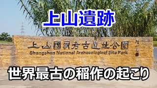【世界最古の稲作起源】 約1万年前のイネの人工栽培の痕跡を有する 中国浙江省にある上山遺跡を訪れた！