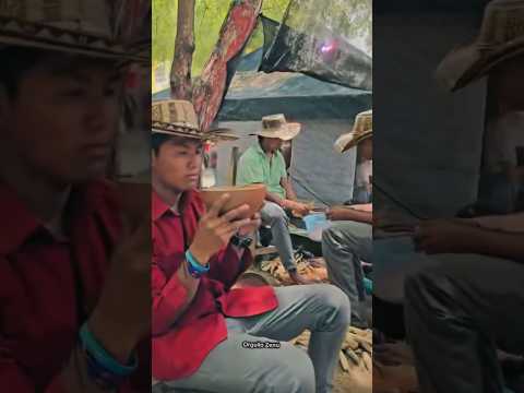 2 Festival de Memoria Viva del Pueblo Zenú en Tuchin Córdoba #cultura #tradicion #tradiciones