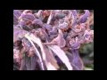dj vadim -  Variations In Ussr (silent poets remix)