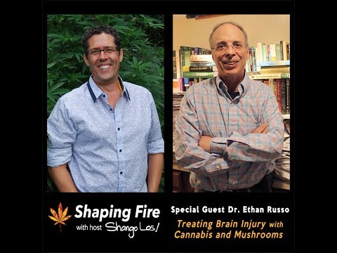 Shaping Fire Ep. 22 - Treating Brain Injury with Cannabis and Mushrooms with guest Dr. Ethan Russo