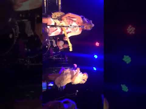 Voice of the Beehive I Say Nothing London 2017