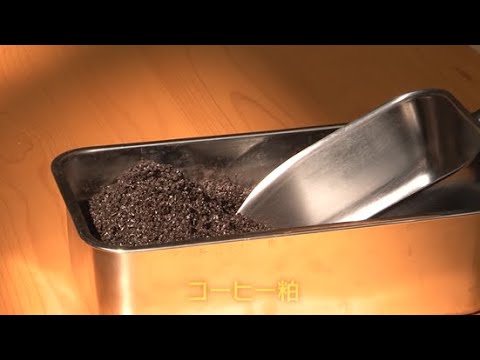 庭のコーヒーかすを使用する 7 つの方法: ヒントとコツ!  庭園