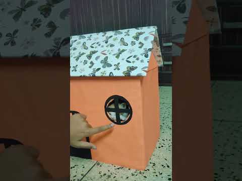 Frooti New House #cat #cats