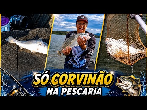 SÓ CORVINÃO! Pescaria em Santa Maria da Serra no Condomínio Serelepe