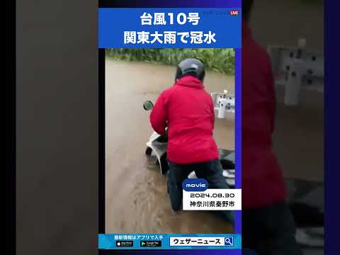 天気: 今週はマイナス15度という驚くべき冬の到来