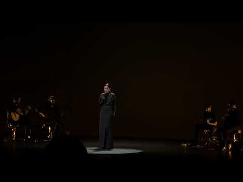 Carminho elogia Bituca e canta Cais