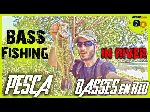 PESCA EN RIO | BLACK BASS con VINILO desde ORILLA | www.bofishing.es