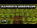 Lets Play Minecraft #17 /Оооо ДА ГОСПОДИ ! 