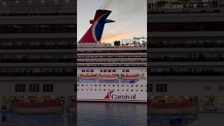 #cruise #holiday #reelsinstagram #reels #fbreels #instagram #trending #viral #trip #ship #love