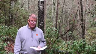 Lake Keowee Real Estate Video Update December 2025 Mike Matt Roach Top Guns