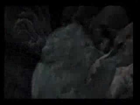 resident evil in this world