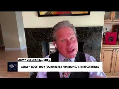 Attorney Joseph Low Discusses the Erica Stefanko Case on Law & Crime Now - Part 17