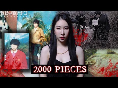 Nanjing Uni Student Became a Stew of 2000 Pieces: China’s Most Disturbing Case｜Diao Aiqing