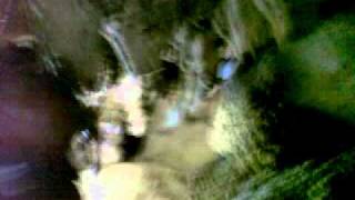 Download lagu goa rejoso nganjuk.mp4 mp3