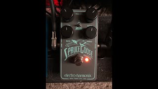 Video thumbnail for Spruce Goose! The Best Bluesbreaker without the 6 Year Wait! by Jeffrey Richard