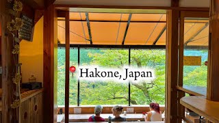 Hakone Japan Day Trip 🇯🇵 | Japanese Onsen Experience-Hotel Zagakukan with Hot Sp