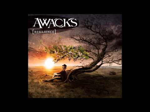 Awacks - System Crash