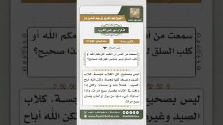 11647 - كل أنواع الكلاب نجسة -  نور على الدرب image