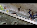 Charlie DQ Status Sundari Pennae Creativity Videos Tamil Malayalam Status Songs