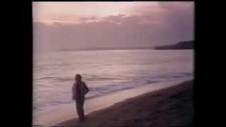 Neil Diamond -  Lonely Looking Sky