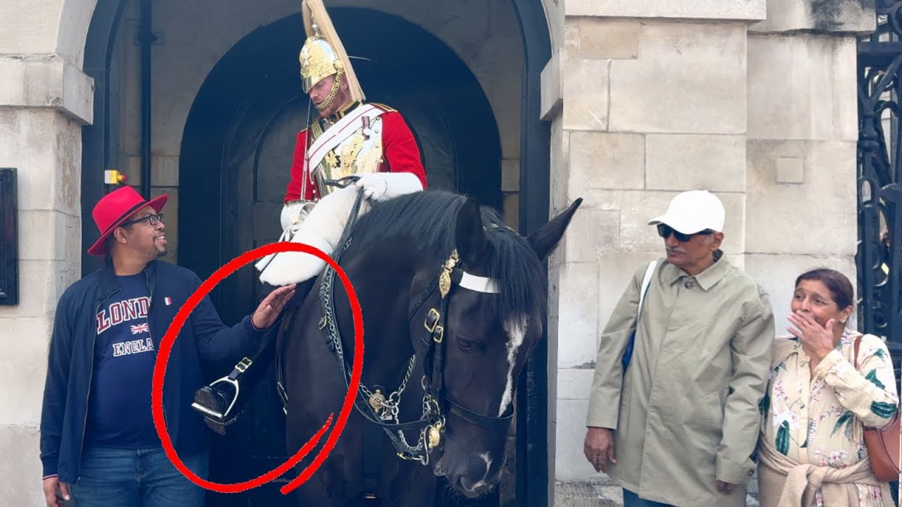 DON’T YOU TRY THAT WITH ME King’s Guard Had Enough from Ignorant Tourists