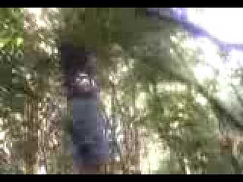 2 nebuni din gugesti