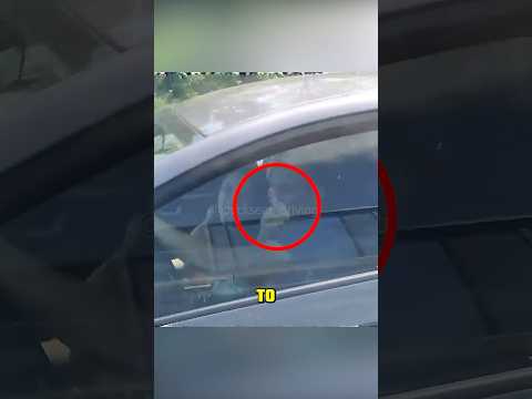 When Fake Gangsters Face the Wrong Driver 😲