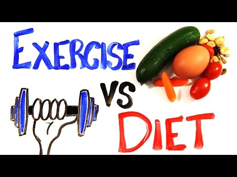 Diet vs. Exercise