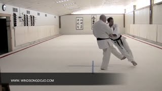 Uchi Mata and Okuri Ashi Harai