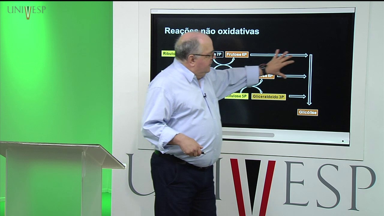 Bioquímica - Aula 22 - Via das Pentoses e “ROS”