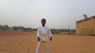 preview picture of video 'Karate région de Zinder niger'