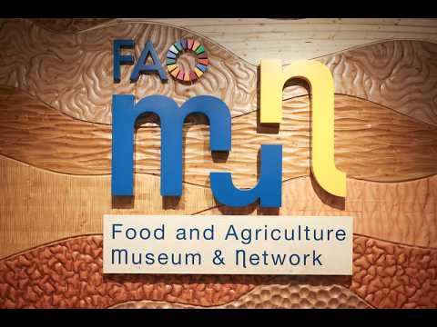 Alla Scoperta del FAO MuNe | Museo e Rete per l’Alimentazione e l’Agricoltura