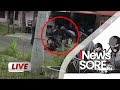 LIVE NOW INews Sore 28 03