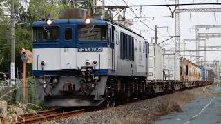 【JR貨物】1094レ EF64 1005号機 細田踏切 2019/07/02