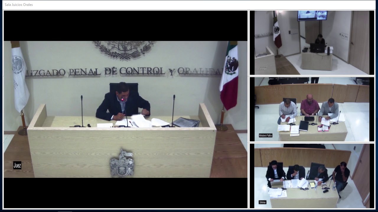 Audiencia Intermedia. Exclusión de medios de prueba y petición de sobreseimiento.