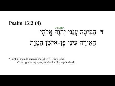 Psalm 13 -- Hebrew Bible Speaker with English Captions
