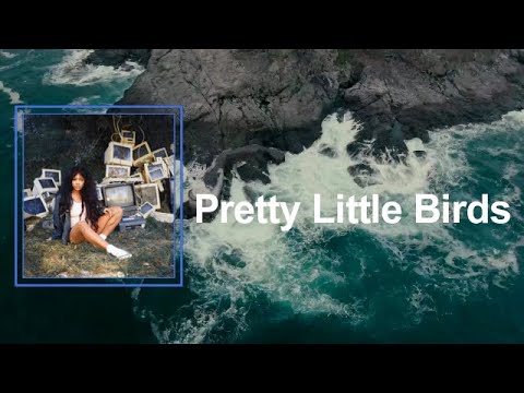 SZA - Pretty Little Birds (Lyrics)