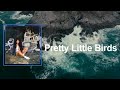 SZA Pretty Little Birds Lyrics