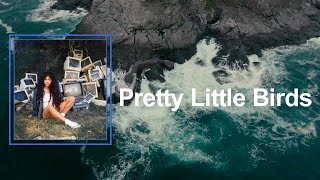 SZA - Pretty Little Birds (Lyrics)