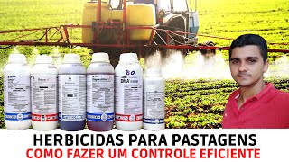 Herbicidas para Pastagem/Como Controlar Ervas Daninhas no Seu Pasto
